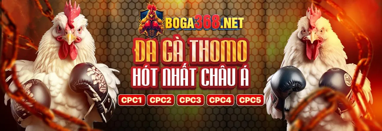 Đá Gà Trực Tuyến banca30 login